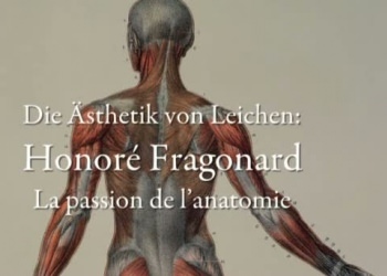 Honoré Fragonard, la passion de l’anatomie